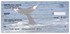 Whale Tails Checks Image 3